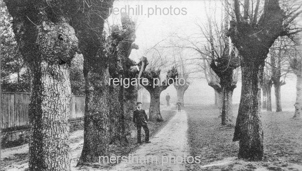 Image number 1441&prevurl=earlswoodcommon