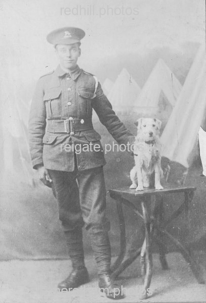 Image number 1672&prevurl=egwarren