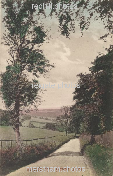 Image number 1829&prevurl=gattonbottom