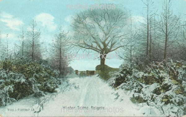 Image number 2461&prevurl=hightreesroad