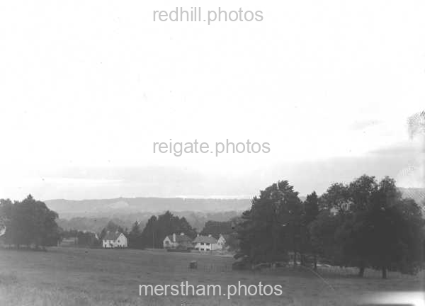 Image number 2462&prevurl=hightreesroad