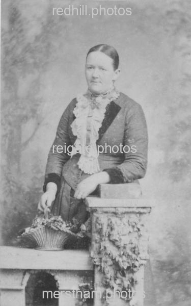 Image number 2663&prevurl=jjmerrett