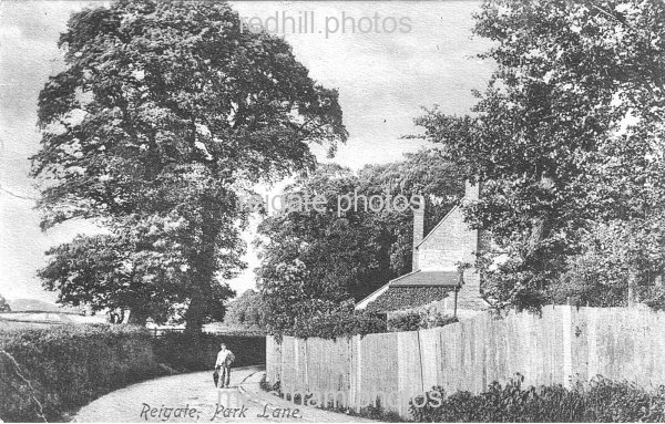 Image number 3527&prevurl=parklane