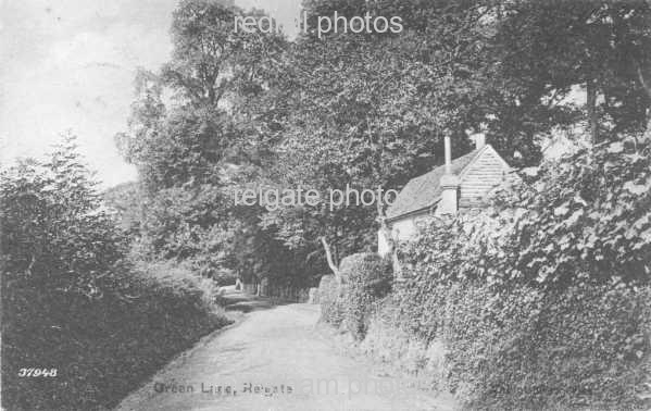 Image number 3529&prevurl=parklane