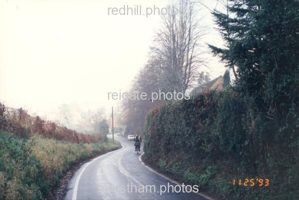 Image number 3530&prevurl=parklane