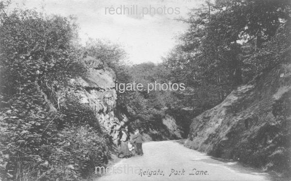 Image number 3532&prevurl=parklane