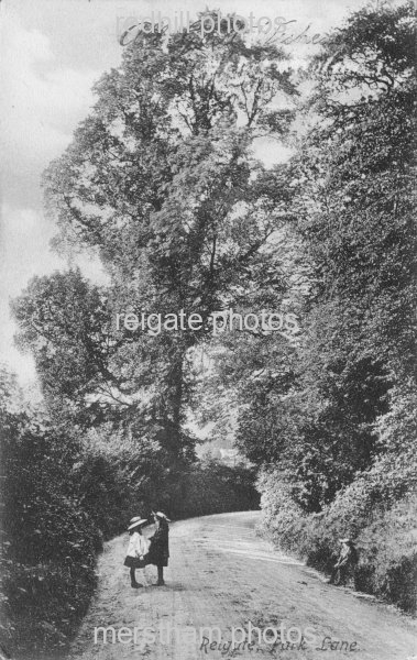 Image number 3533&prevurl=parklane