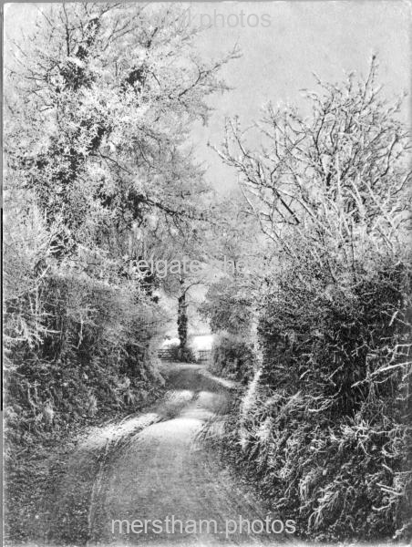 Image number 3534&prevurl=parklane