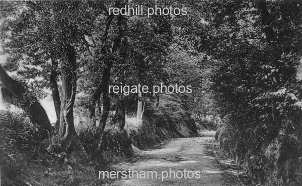 Image number 3620&prevurl=publishers60