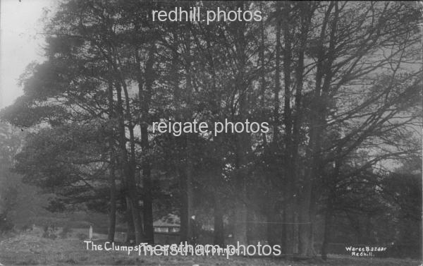 Image number 3973&prevurl=redhillcommon