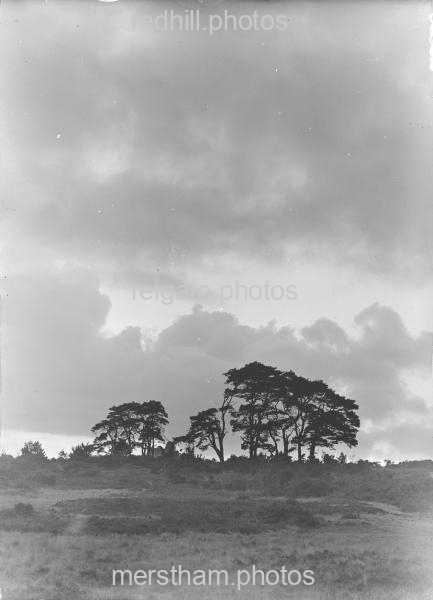 Image number 4351&prevurl=reigateheath6