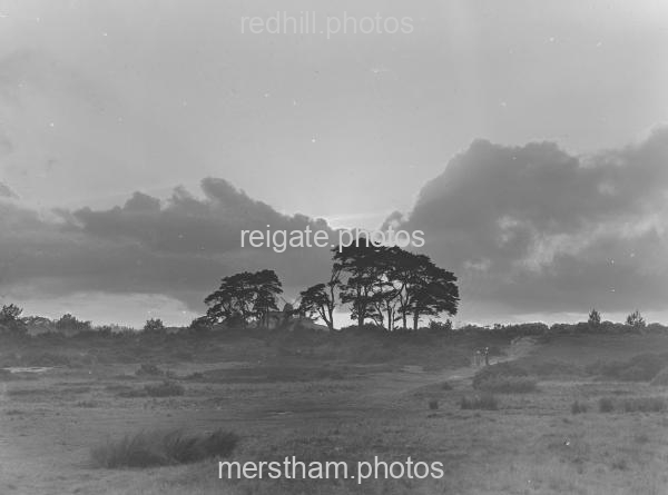 Image number 4352&prevurl=reigateheath6