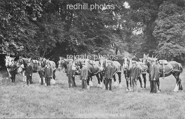 Image number 6031&prevurl=unknown