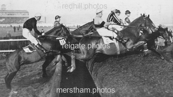 Image number 6446&prevurl=horseracing