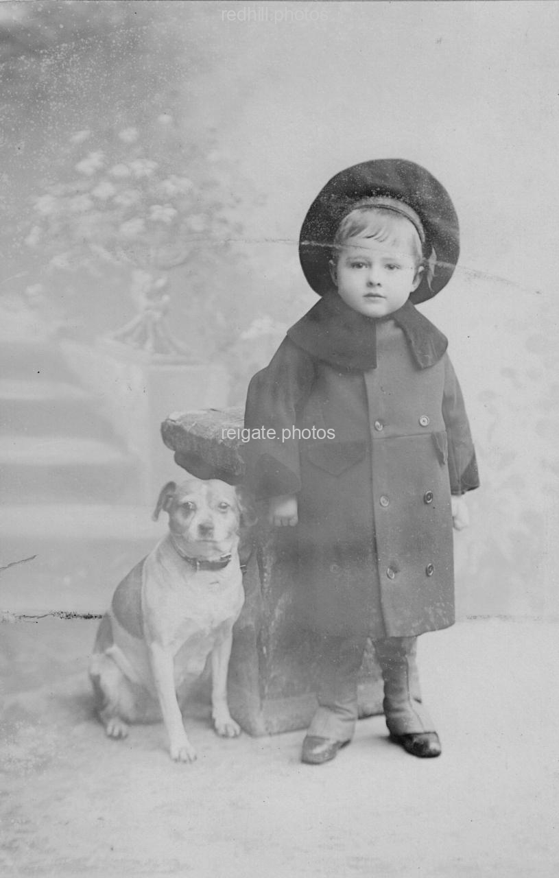 Image number 8452&prevurl=spc