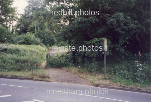 Image number 3490