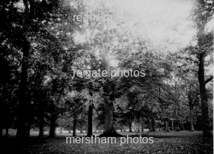 Image number 7907