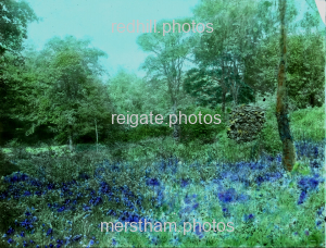 Image number 7940