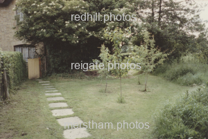 Image number 8618