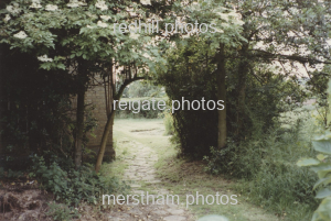 Image number 8619