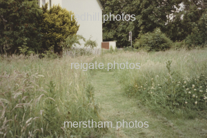 Image number 8622
